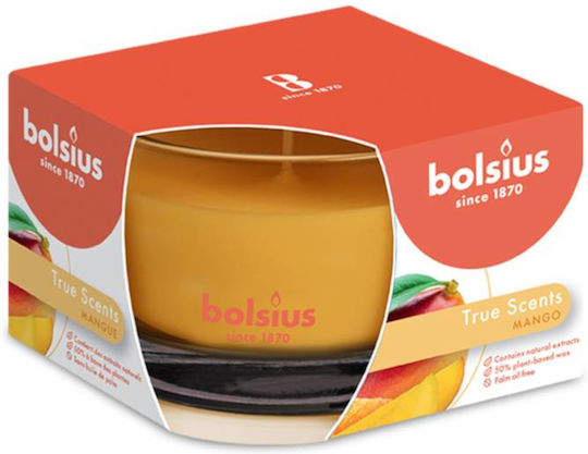 Bolsius Αρωματικό σε Βάζο Bolsius Αρωματικό σε Βάζο