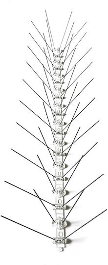 Protecta Ecologic 311 Spike-uri Anti-Roosting Repelent Păsări 0.5x0.18m