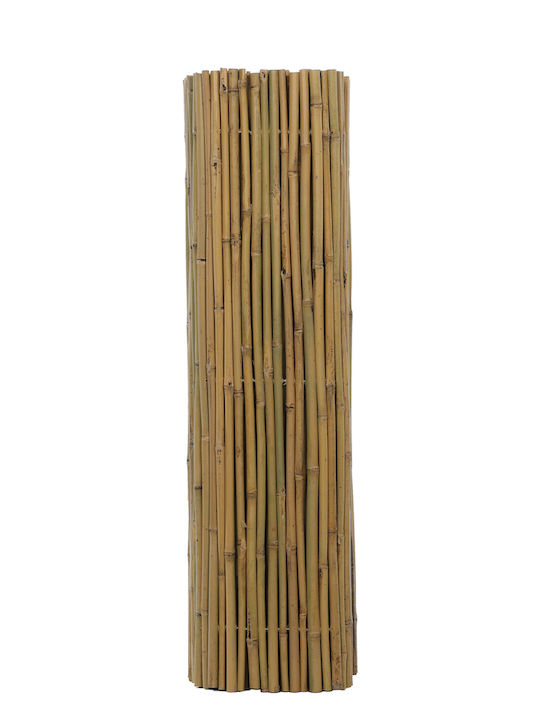 Jardi Καλαμωτή με Ολόκληρο Καλάμι Μπαμπού 1.5x3m