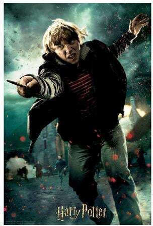 Kinderpuzzle Harry Potter Ron für 6+ Jahre+ Jahre 300pcs Prime 3D