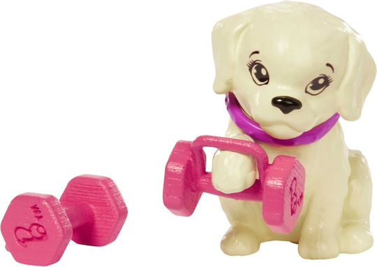 Barbie Wellness Set de păpuși pentru 3+ ani+ Ani (Diverse modele) 1 buc