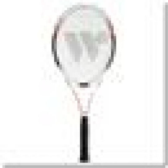 Wish Badminton Net Ws4001