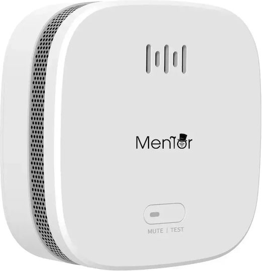 Senzor Wifi Inteligent pentru Detectarea Fumului Baterie 3V 2.4GHz Mentor Sy071 Premium