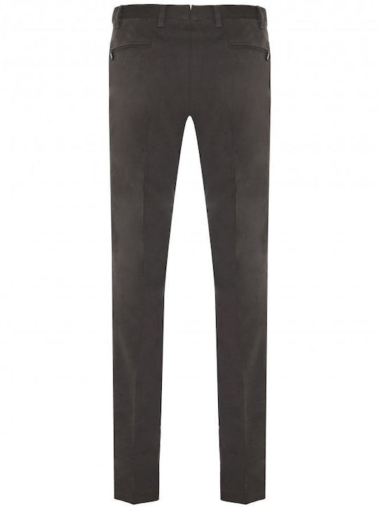 CC Collection Corneliani