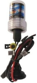 Xenon Set de Iluminare H7 35W 12V 6000K Alb rece