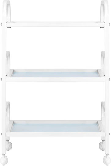Beauty Roll Hair Salon Maintenance Cart