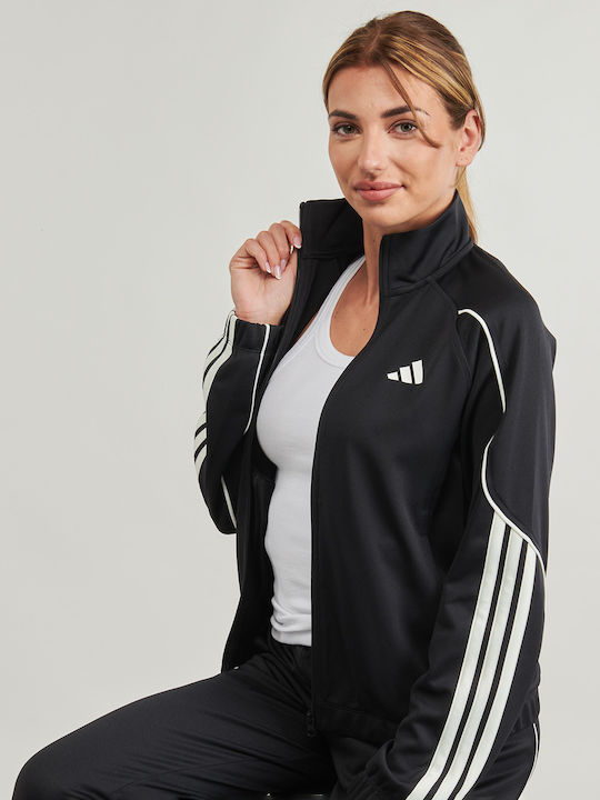 Stadium Sweatpants Set Black
