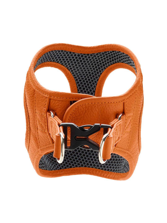 Δερμάτινο Σαμαράκι Hunter Harness Geschirr Hilo 33-37/xs Orange