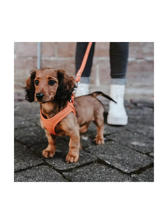 Δερμάτινο Σαμαράκι Hunter Harness Geschirr Hilo 33-37/xs Orange