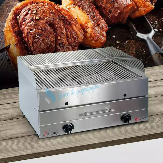 Exivos Harmony Grill Gasgrill Rost 60cmx38cmcm mit 2 cm 9.4kW