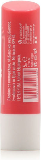 Pharmalead Lip Care 5gr