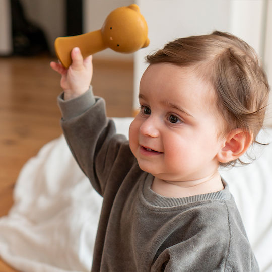 Lanco Lanco Teething Relief made of Rubber for 0 m+