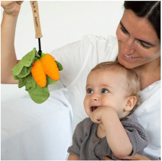 Oli&Carol Cathy The Carrot Teether Ring for Teething made of Rubber for 0 Months+