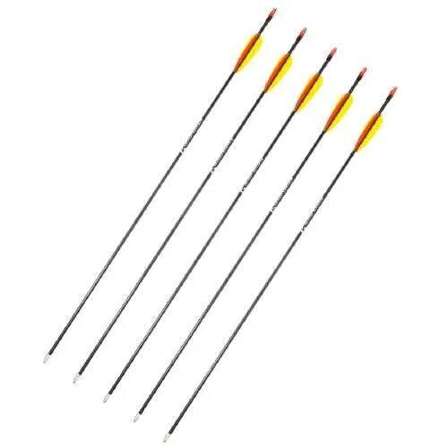 Poe Lang 28’ Fibreglass Arrows Set 5 D-055-b3