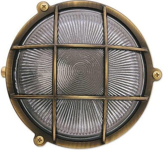 Lightup Χελώνα Μπρούτζινη Lightup Χελώνα Μπρούτζινη