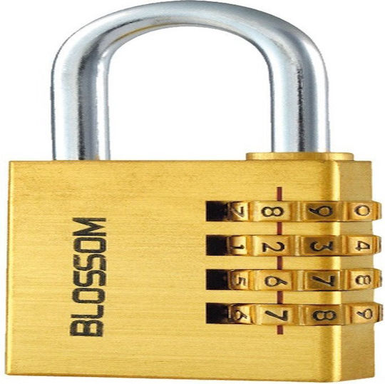 Blossom Bronze Padlock Brass with Key 1pcs