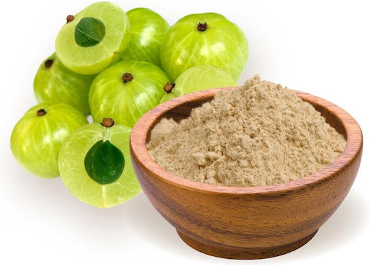 Organic India Bio Amalaki Powder 100g Αμαλάκι Άμλα Σκόνη 100γρ