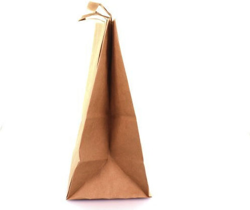 Paper Packaging Bags Brown / Brown 250pcs