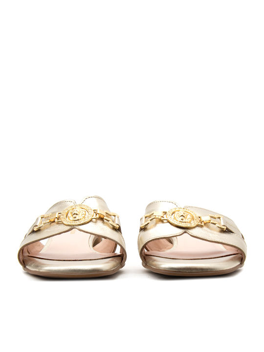Bacali Collection