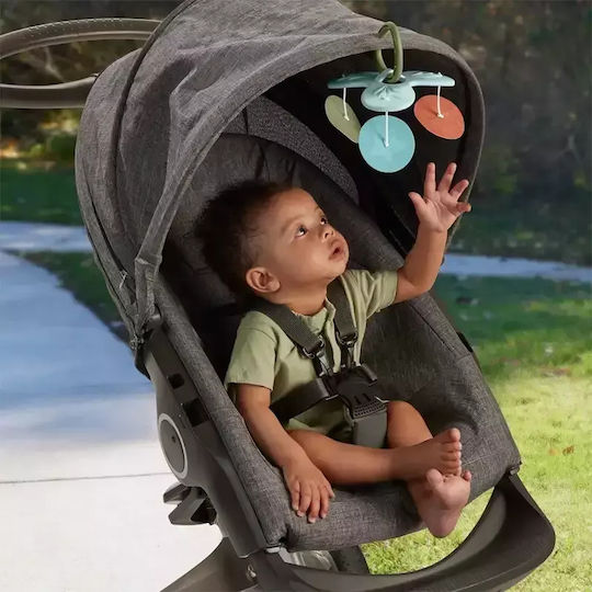 Fisher Price Activity Gym for Newborns