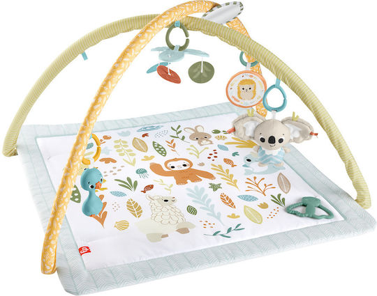 Fisher Price Activity Gym for Newborns