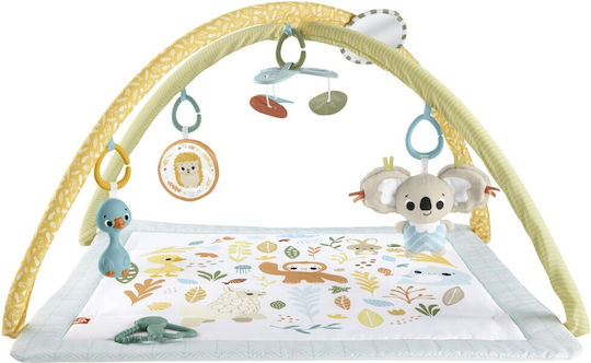 Fisher Price Activity Gym for Newborns