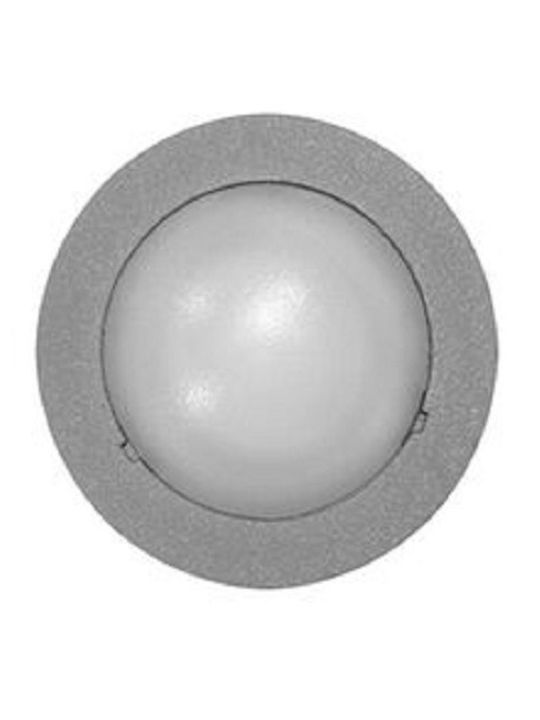 Adeleq Broasca Testoasa Led Încorporat Adeleq Broasca Testoasa Led Încorporat