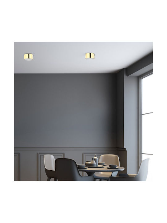 TK Lighting Dallas Φωτιστικό Τοίχου TK Lighting Dallas Φωτιστικό Τοίχου