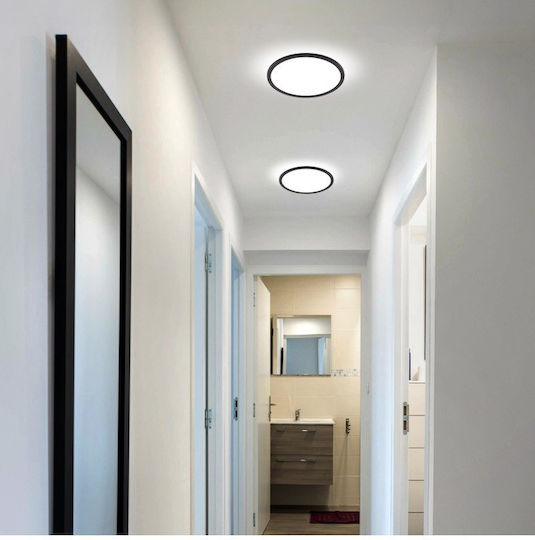 TK Lighting Таванно осветление Баня Тюркоазен с Вграден LED