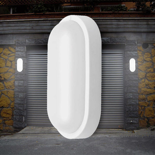 Braytron Стенна Външна Костенурка LED IP54 8W с Студено бяло Светлина 16x9x5.1εκ.