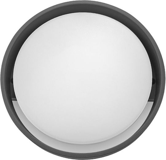 Braytron Стенно Външно Осветително Тяло IP65