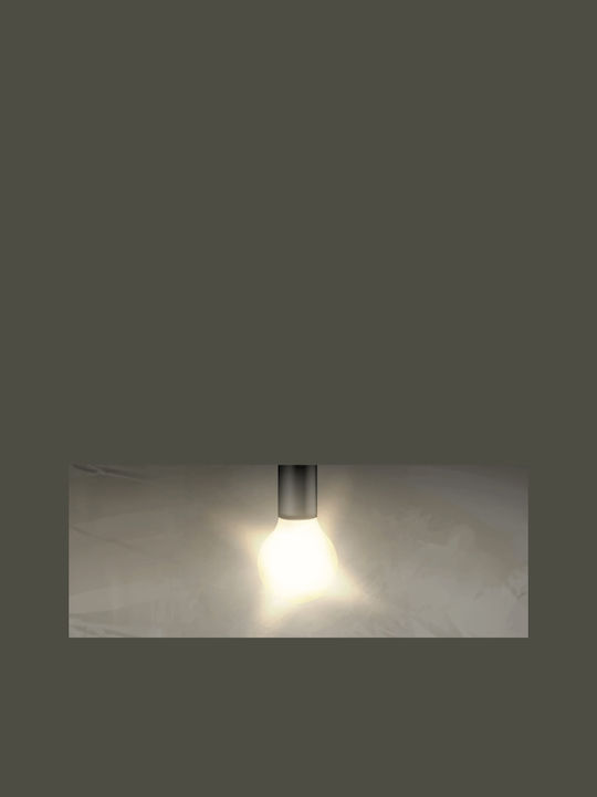 Metanor Επιτοίχια Χελώνα Εξωτερική LED IP54 8W με Φυσικό Λευκό Φως 11.7x16.8x7εκ.