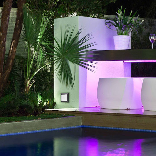 Vivalux Wasserdichte Deckenleuchte Integrierte LED 4,5W Vivalux Wasserdichte Deckenleuchte Integrierte LED 4,5W