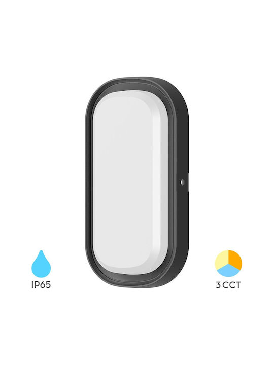 Braytron Επιτοίχια Χελώνα Εξωτερική LED IP65 12W με Ρυθμιζόμενο Λευκό Φως 20.6x10.5x4.6εκ.