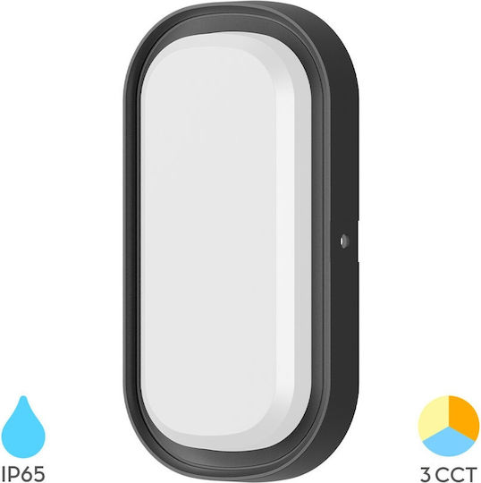 Braytron Wall-Mounted Outdoor Turtle Light LED IP65 12W with Adjustable White Light 20.6x10.5x4.6εκ.