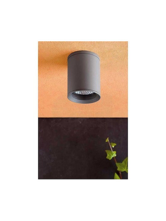 Faro Barcelona Tasa Spot de Exterior E27 în Culoare Gri 70806