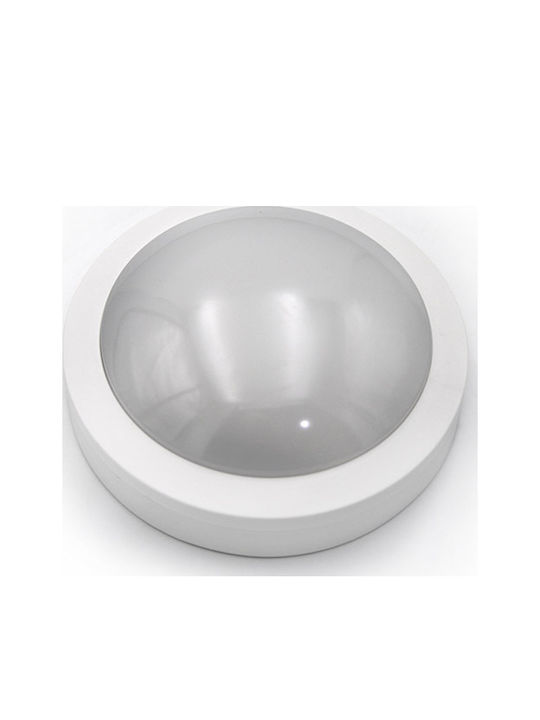 Adeleq Wall-Mounted Outdoor Ceiling Light LED IP65 8W with Warm White Light