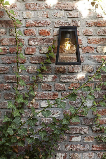 Lutec Wall Mounted Solar Light 2W 200lm with Warm White Light 2700K IP44 14cmx16.4cmx20.7cmcm