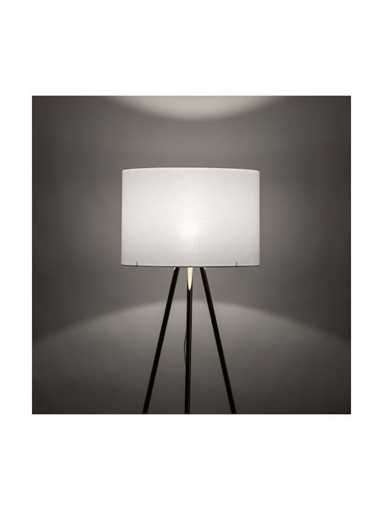 TK Lighting Umberto Stehleuchte H155xB50cm. mit Fassung für Lampe E27 Braun