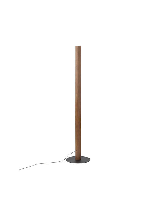 TK Lighting LED Floor Lamp H120xW30cm. with Warm White Light Brown