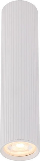 TK Lighting Single Spot with Socket GU10 in White Color