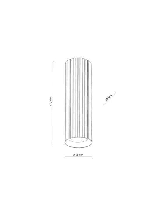 TK Lighting Μονό Σποτ με Ντουί GU10 σε Λευκό Χρώμα