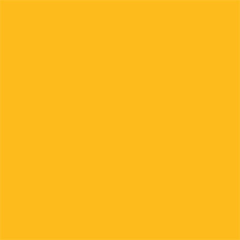 Hârtie Fundal Fotografic Superior 14 Forsythia Galben 2.72 X 11m