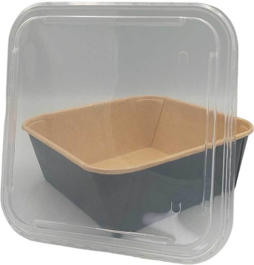 Disposable Box 50pcs Container