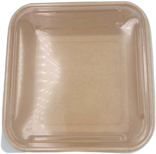 Disposable Box 50pcs Container