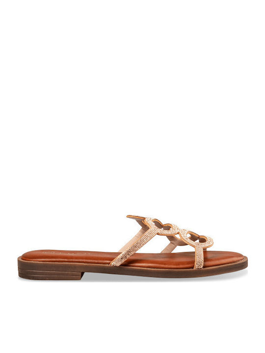 Envie Shoes Envie Shoes