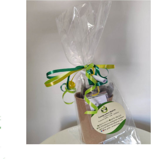 Party Gift Nature Biodegradable 1521-98