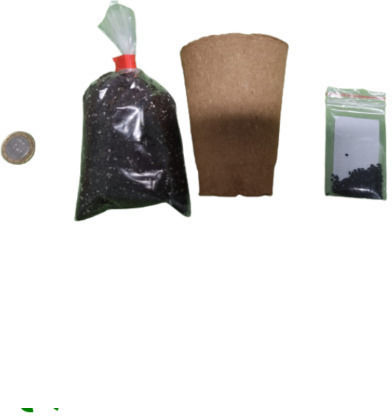 Party Gift Nature Biodegradable 1521-98