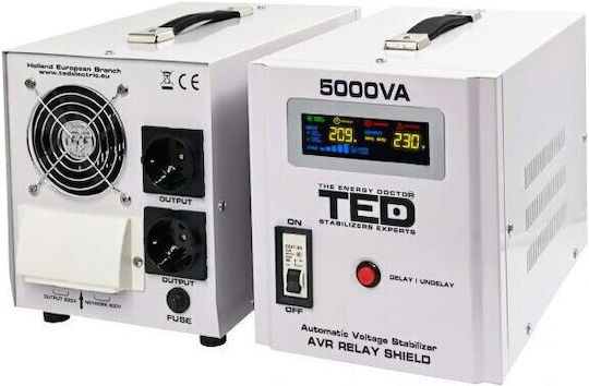 TED Electric DZ084992 Σταθεροποιητής Τάσης 5000VA με 2 Πρίζες Ρεύματος