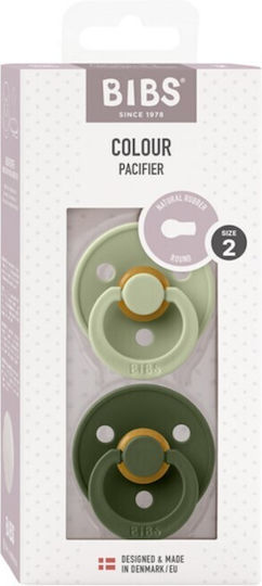 Bibs Colour Pacifiers Rubber Sage / Hunter Green for 6-18 Months 2 Pieces